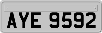 AYE9592
