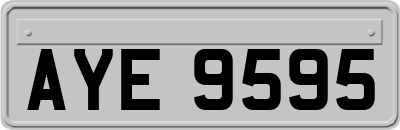 AYE9595