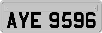 AYE9596