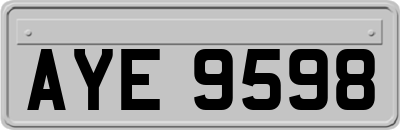 AYE9598