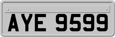 AYE9599
