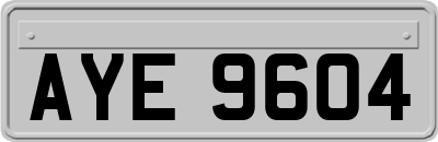 AYE9604
