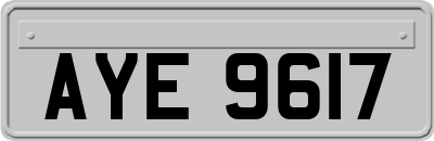 AYE9617