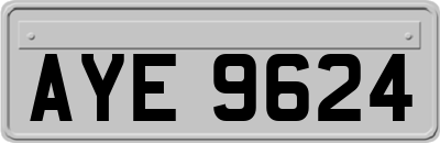 AYE9624