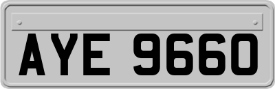 AYE9660