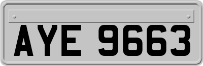 AYE9663