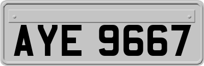 AYE9667