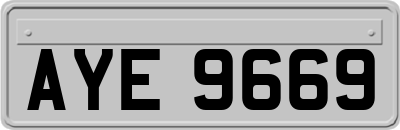 AYE9669