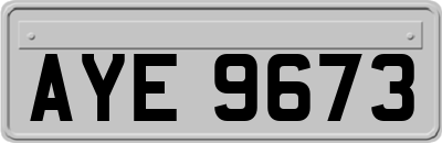 AYE9673