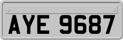 AYE9687