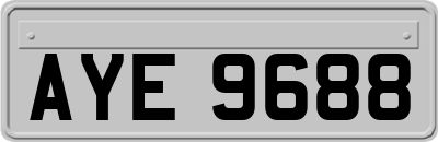 AYE9688