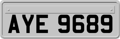AYE9689