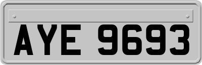 AYE9693