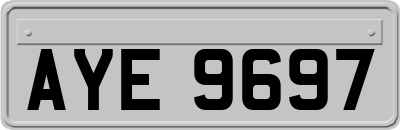 AYE9697