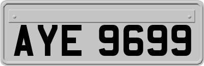 AYE9699