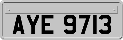 AYE9713