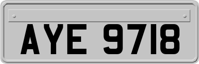 AYE9718
