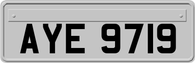 AYE9719