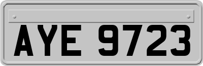 AYE9723