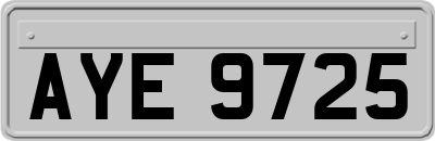 AYE9725