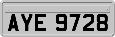 AYE9728
