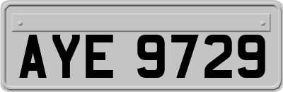 AYE9729