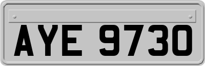 AYE9730