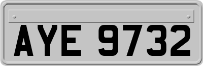 AYE9732