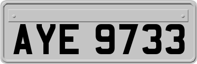 AYE9733