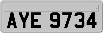 AYE9734