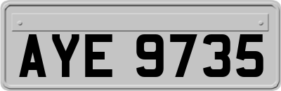AYE9735