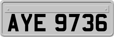 AYE9736