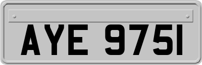 AYE9751