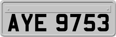AYE9753