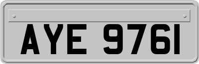 AYE9761