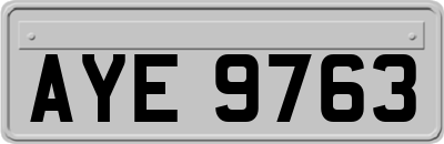 AYE9763