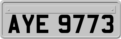 AYE9773