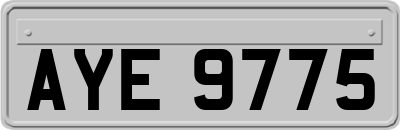 AYE9775