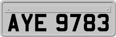 AYE9783