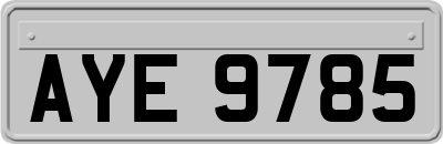 AYE9785