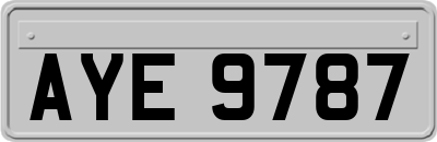 AYE9787