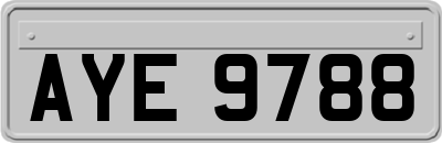 AYE9788