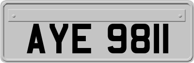 AYE9811