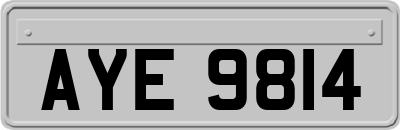 AYE9814