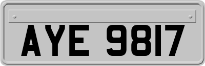 AYE9817