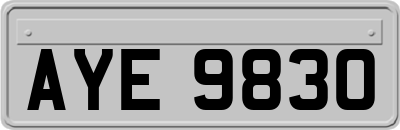 AYE9830
