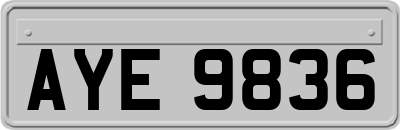 AYE9836