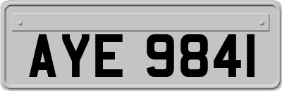 AYE9841