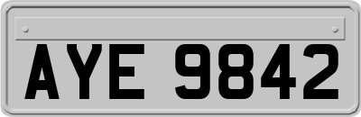 AYE9842