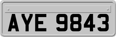 AYE9843